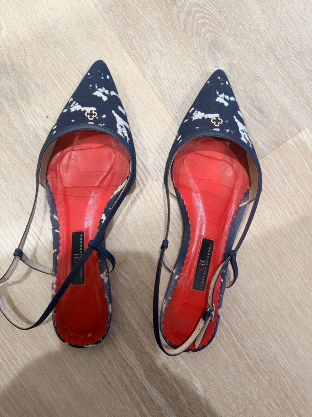 Carolina Herrera Navy Tie-Dye Pointed Slingback Flats with Red Insole